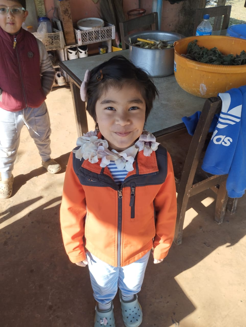School Activity